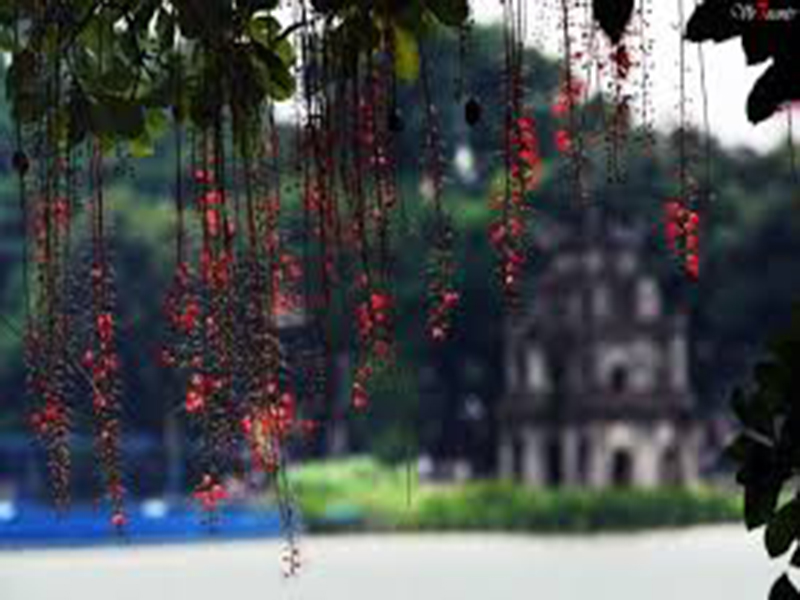 Tiết mùa đông Hà Nội